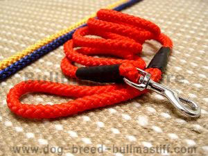 Cord nylon dog leash